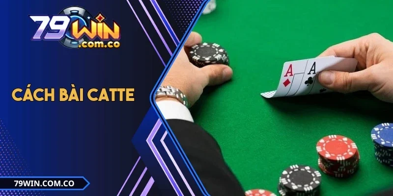 Cách Bài Catte Hiệu Quả Chi Tiết Từ A - Z Dành Cho Tân Binh 2 Cách Bài Catte Hiệu Quả Chi Tiết Từ A - Z Dành Cho Tân Binh