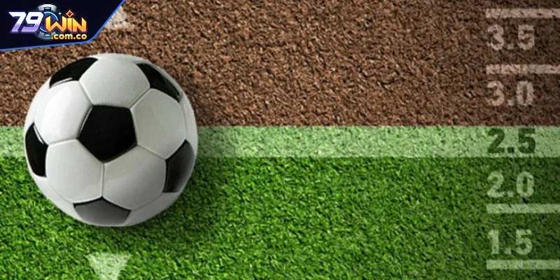 Hướng dẫn đọc kèo O/U 3/4